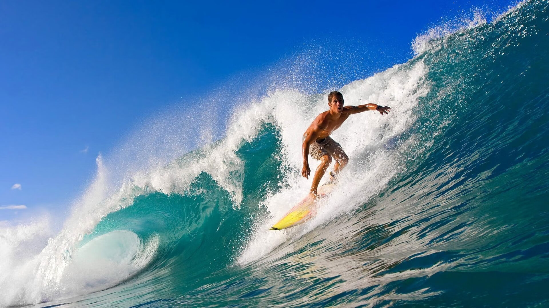 WRC文化交流：世界各地的拉力魅力，世界著名拉力赛道